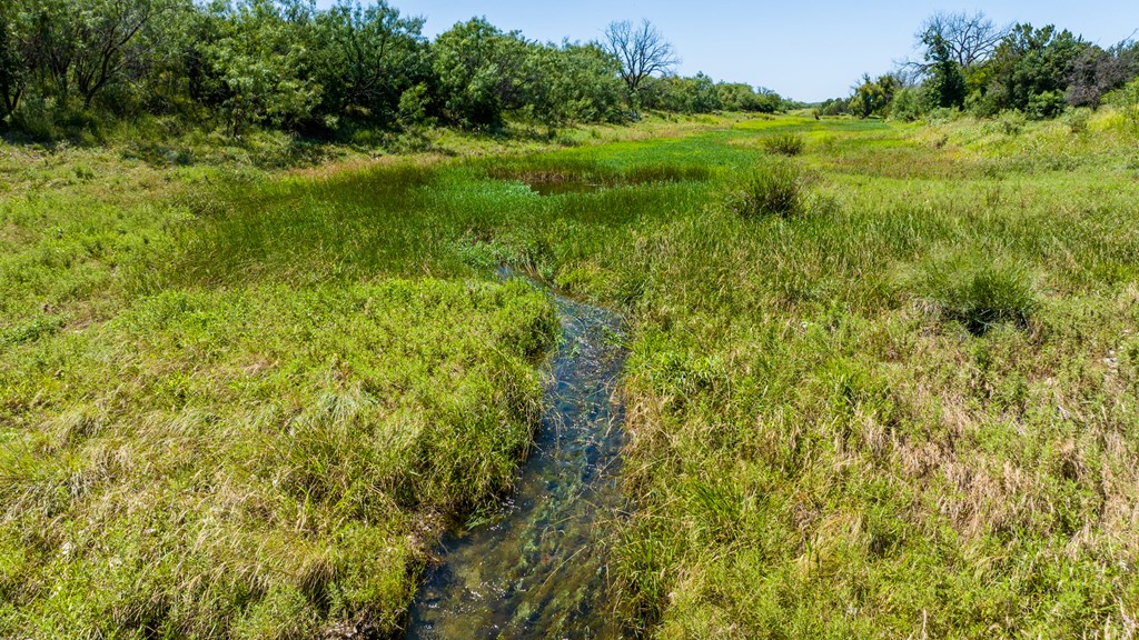 16251 Door Key Road San Angelo, TX 76904 - Photo 21 of 69
