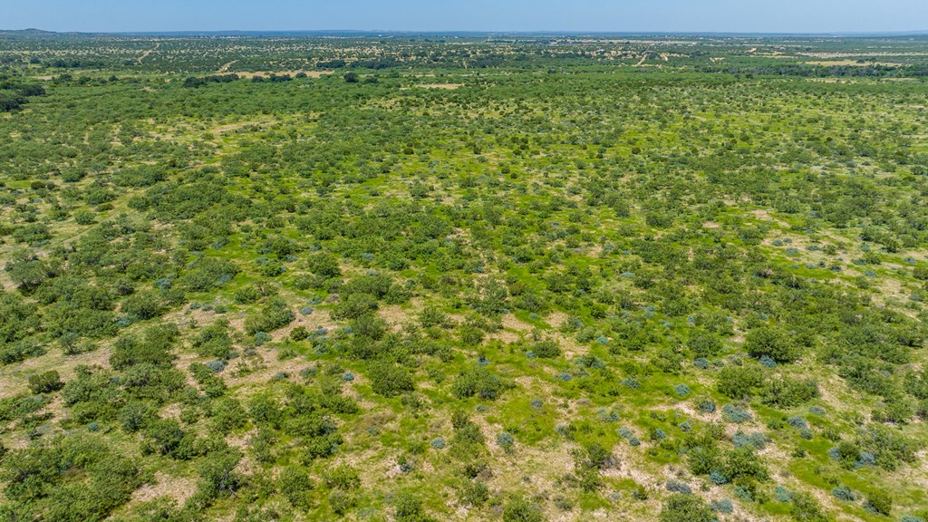 16251 Door Key Road San Angelo, TX 76904 - Photo 28 of 69