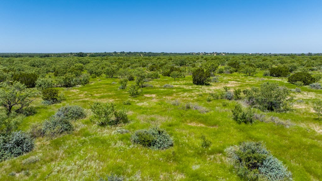 16251 Door Key Road San Angelo, TX 76904 - Photo 31 of 69 a view of a green field with lots of trees