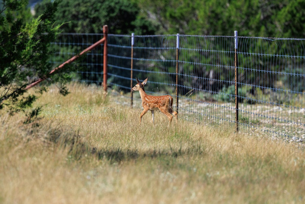 16251 Door Key Road San Angelo, TX 76904 - Photo 32 of 69 a view of a yard and deck