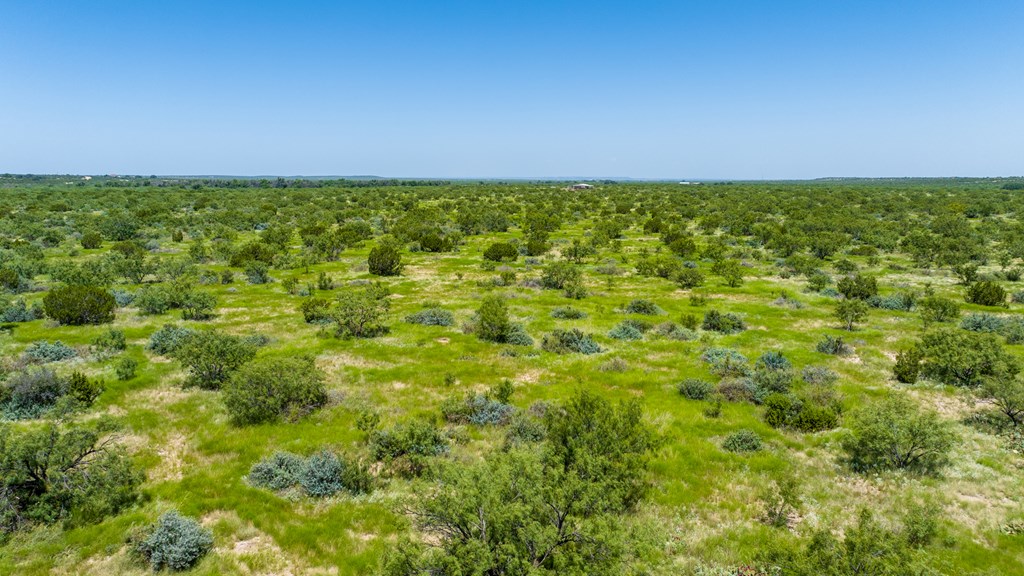 16251 Door Key Road San Angelo, TX 76904 - Photo 33 of 69