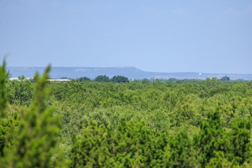 16251 Door Key Road San Angelo, TX 76904 - Photo 37 of 69 a view of a city with lush green forest