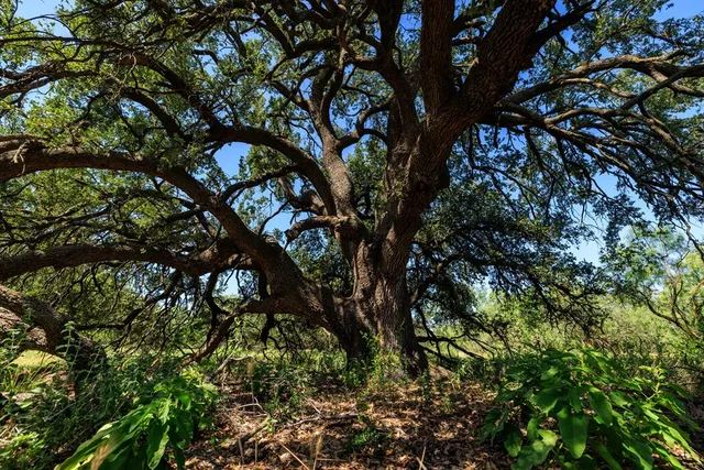 a view of lake with mountain in the background