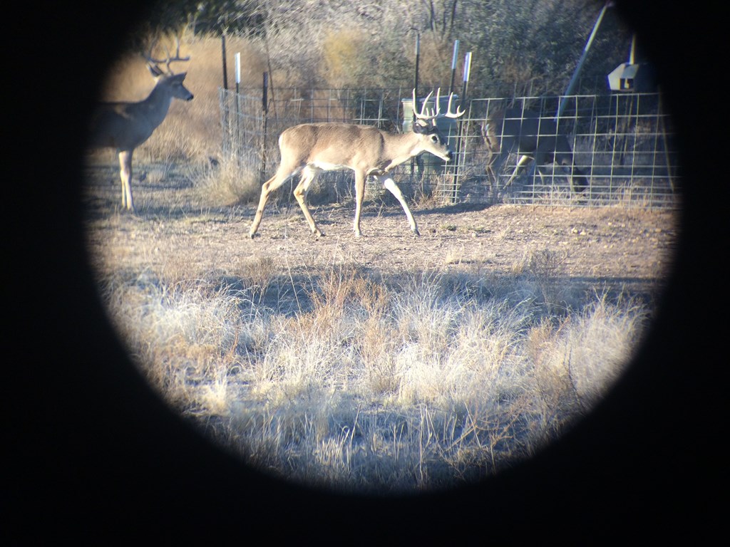 16251 Door Key Road San Angelo, TX 76904 - Photo 43 of 69 a view of a interior of the house