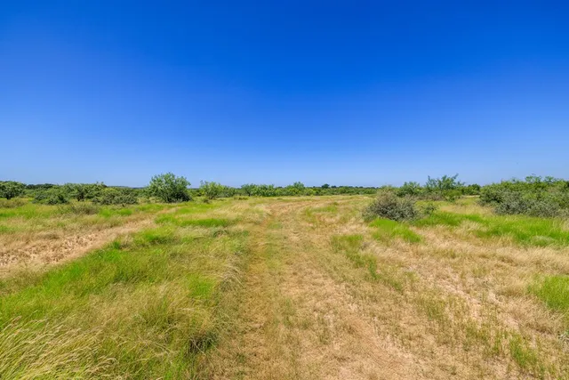 a view of a yard with a house in the background