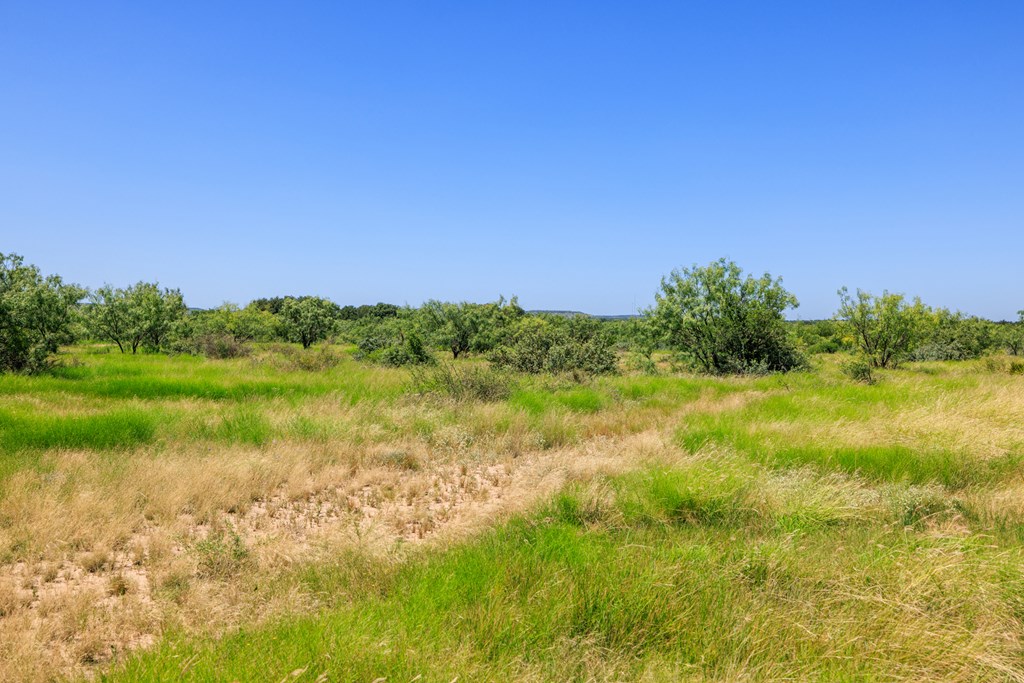 16251 Door Key Road San Angelo, TX 76904 - Photo 49 of 69