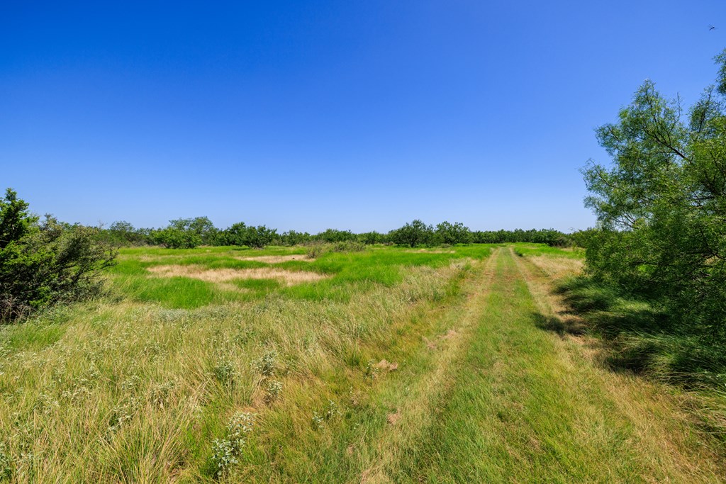 16251 Door Key Road San Angelo, TX 76904 - Photo 50 of 69 a view of lake with green space