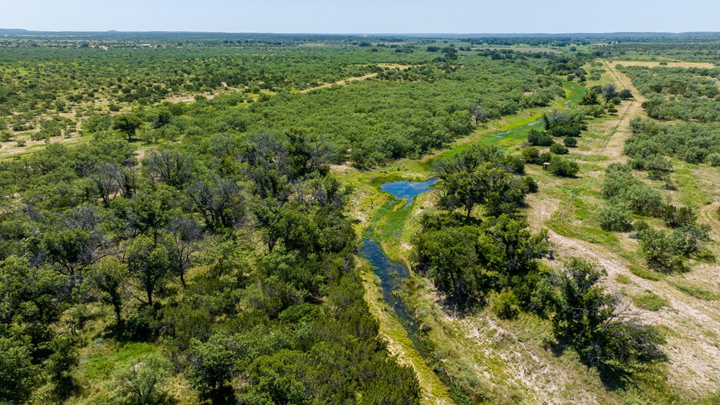 16251 Door Key Road San Angelo, TX 76904 - Photo 51 of 69 a view of a green field with lots of bushes