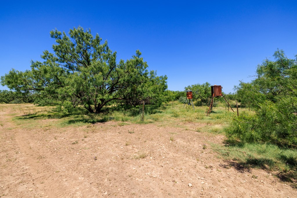 16251 Door Key Road San Angelo, TX 76904 - Photo 54 of 69 a view of a dirt road with a building in the background