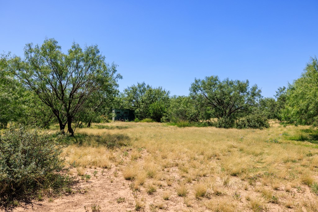 16251 Door Key Road San Angelo, TX 76904 - Photo 55 of 69 a fire hydrant in the middle of a field