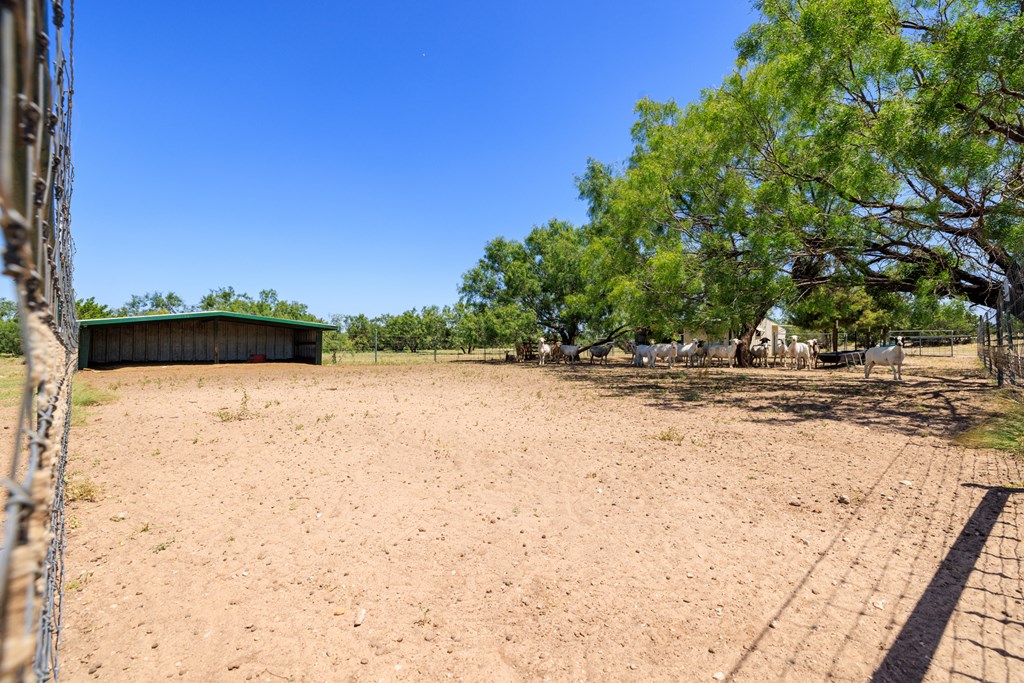 16251 Door Key Road San Angelo, TX 76904 - Photo 58 of 69 a view of a yard with a tree