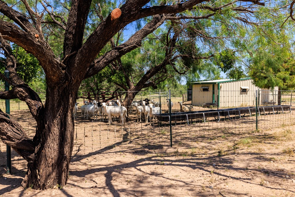 16251 Door Key Road San Angelo, TX 76904 - Photo 60 of 69 a backyard of a house with table and chairs under an umbrella