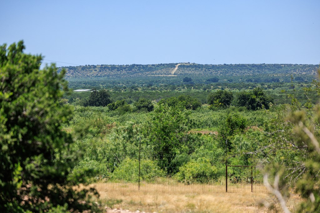 16251 Door Key Road San Angelo, TX 76904 - Photo 6 of 69 a view of a field of grass and trees