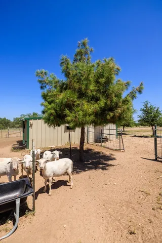 $2,200,000 | 16251 Door Key Road, San Angelo, TX 76904