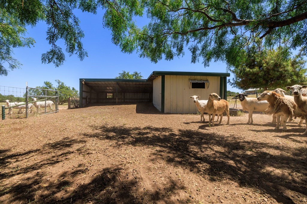 16251 Door Key Road San Angelo, TX 76904 - Photo 62 of 69 a view of a backyard