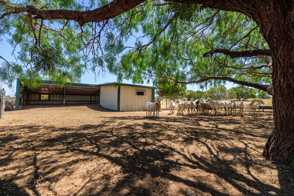 16251 Door Key Road San Angelo, TX 76904 - Photo 63 of 69 a view of a outdoor space