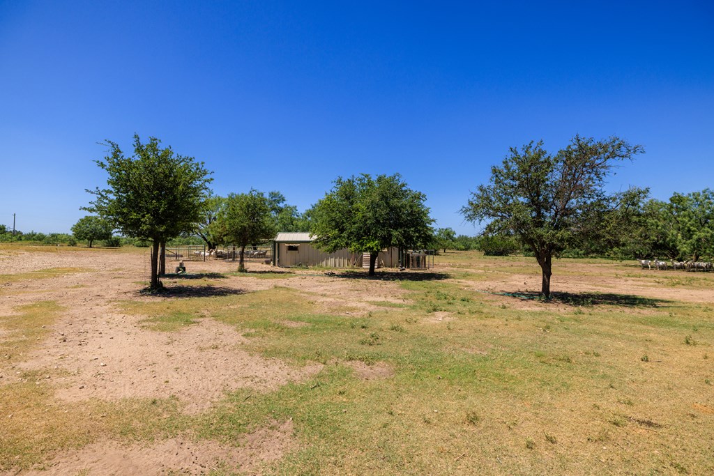 16251 Door Key Road San Angelo, TX 76904 - Photo 66 of 69 a view of a yard with a house in the background