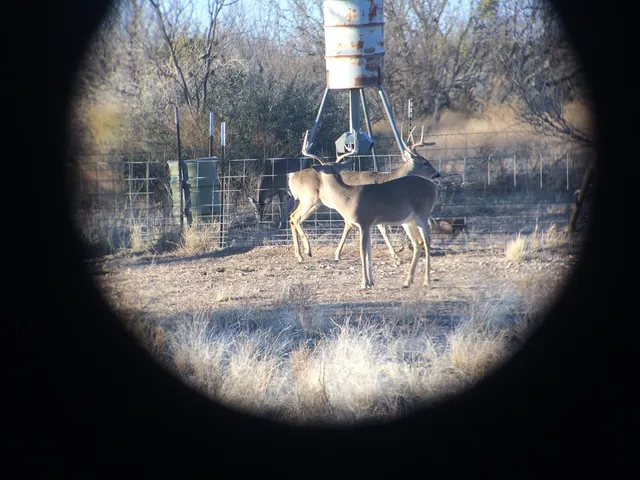 $2,200,000 | 16251 Door Key Road, San Angelo, TX 76904