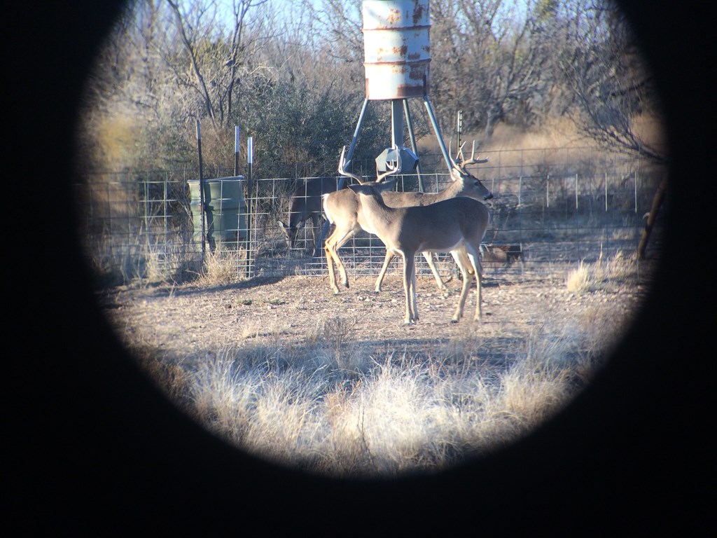 16251 Door Key Road San Angelo, TX 76904 - Photo 67 of 69 a view of a fountain in the backyard of the house