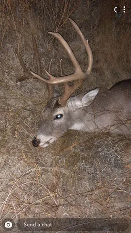 $2,200,000 | 16251 Door Key Road, San Angelo, TX 76904