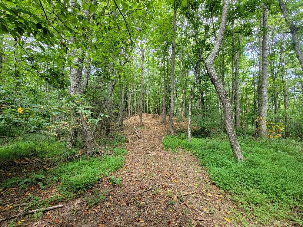 Tbd Porterfield Road Woodlawn, VA 24381 - Photo 11 of 29 Gallery Image 11