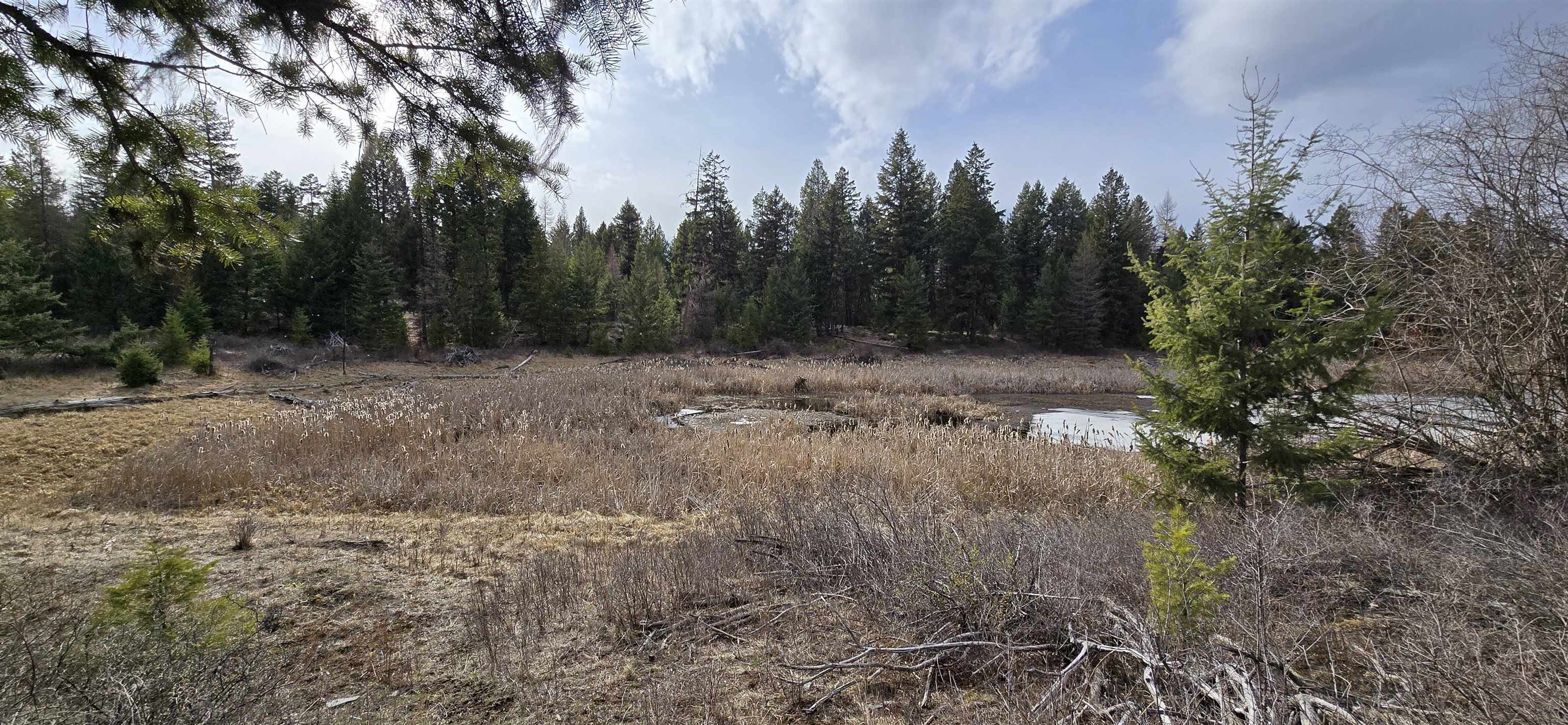 99 Prior Loop Road Oroville, WA 98844 - Photo 2 of 10