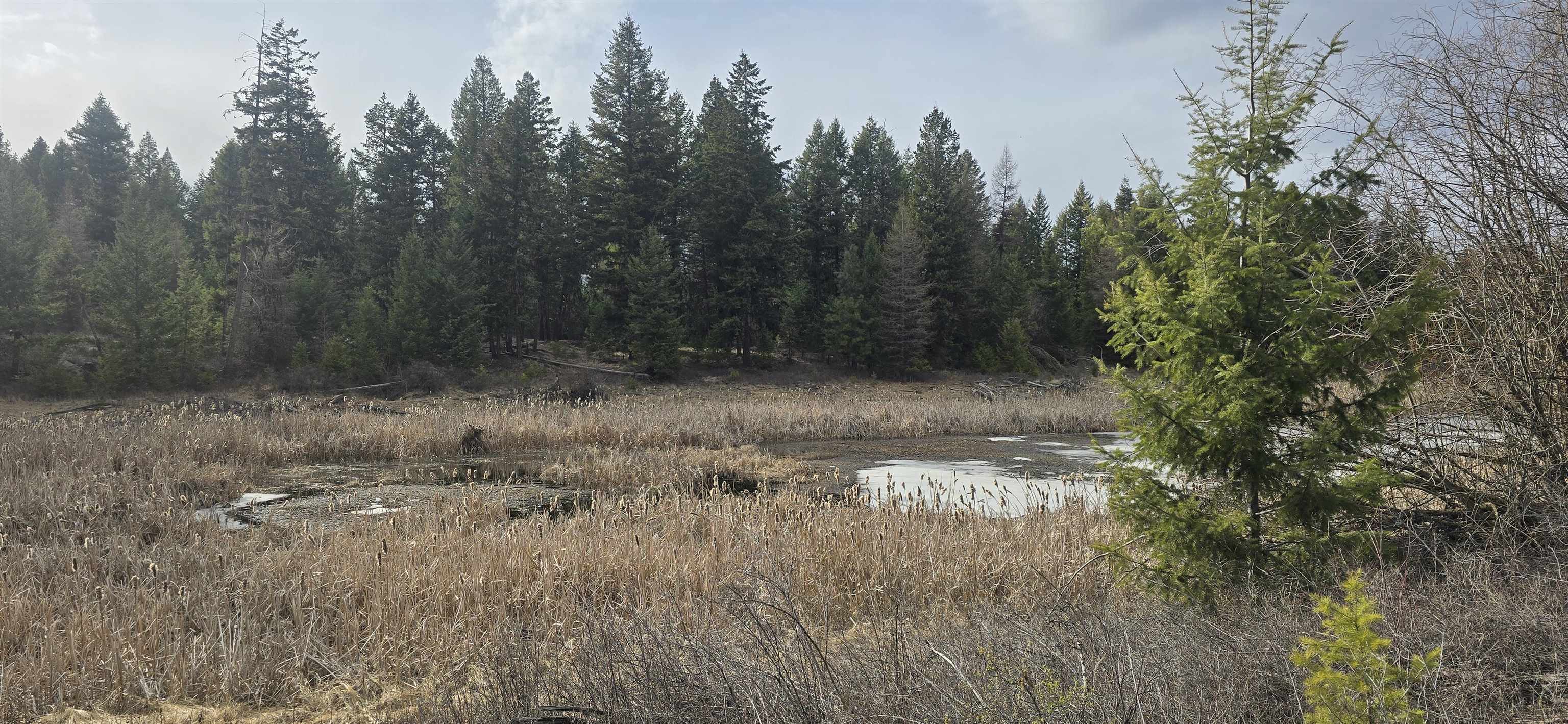 99 Prior Loop Road Oroville, WA 98844 - Photo 3 of 10