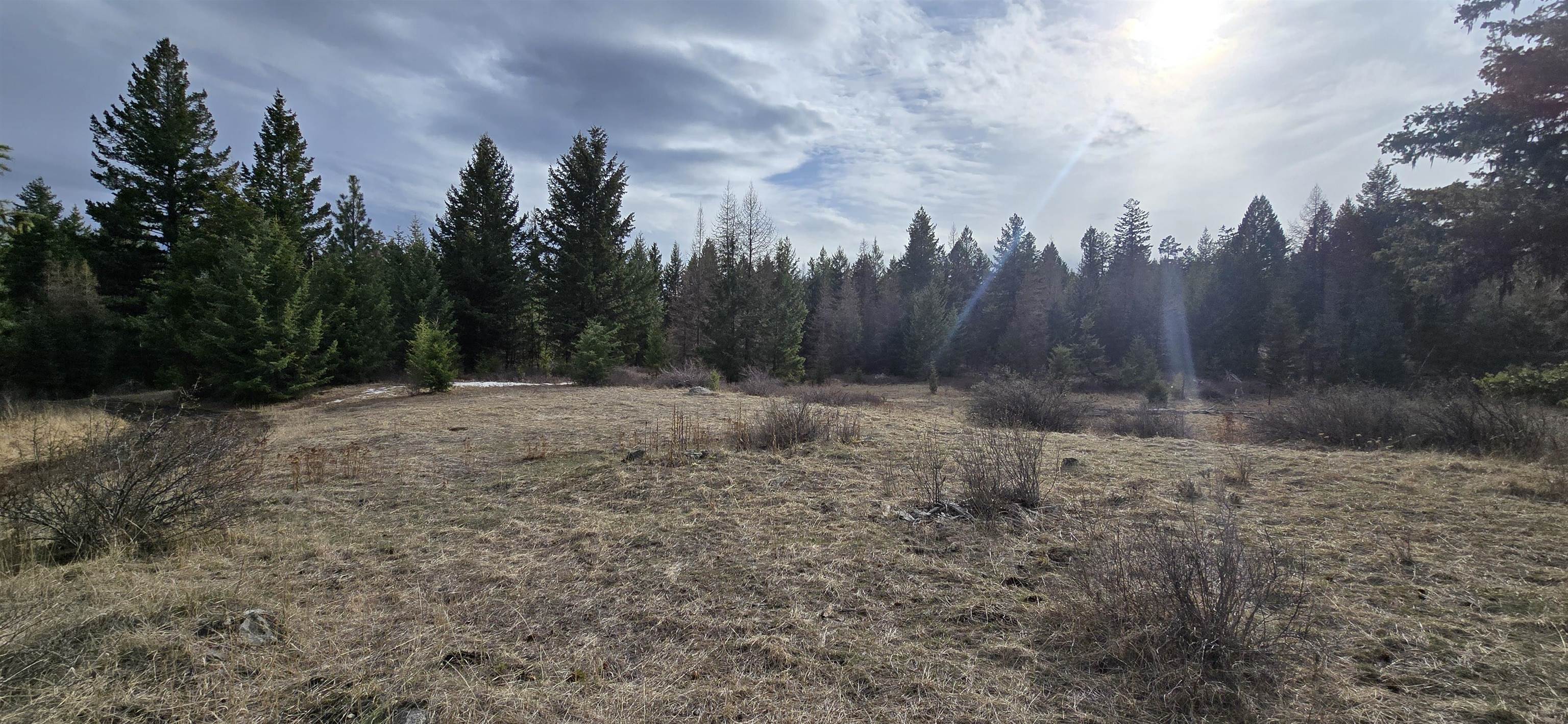 99 Prior Loop Road Oroville, WA 98844 - Photo 4 of 10