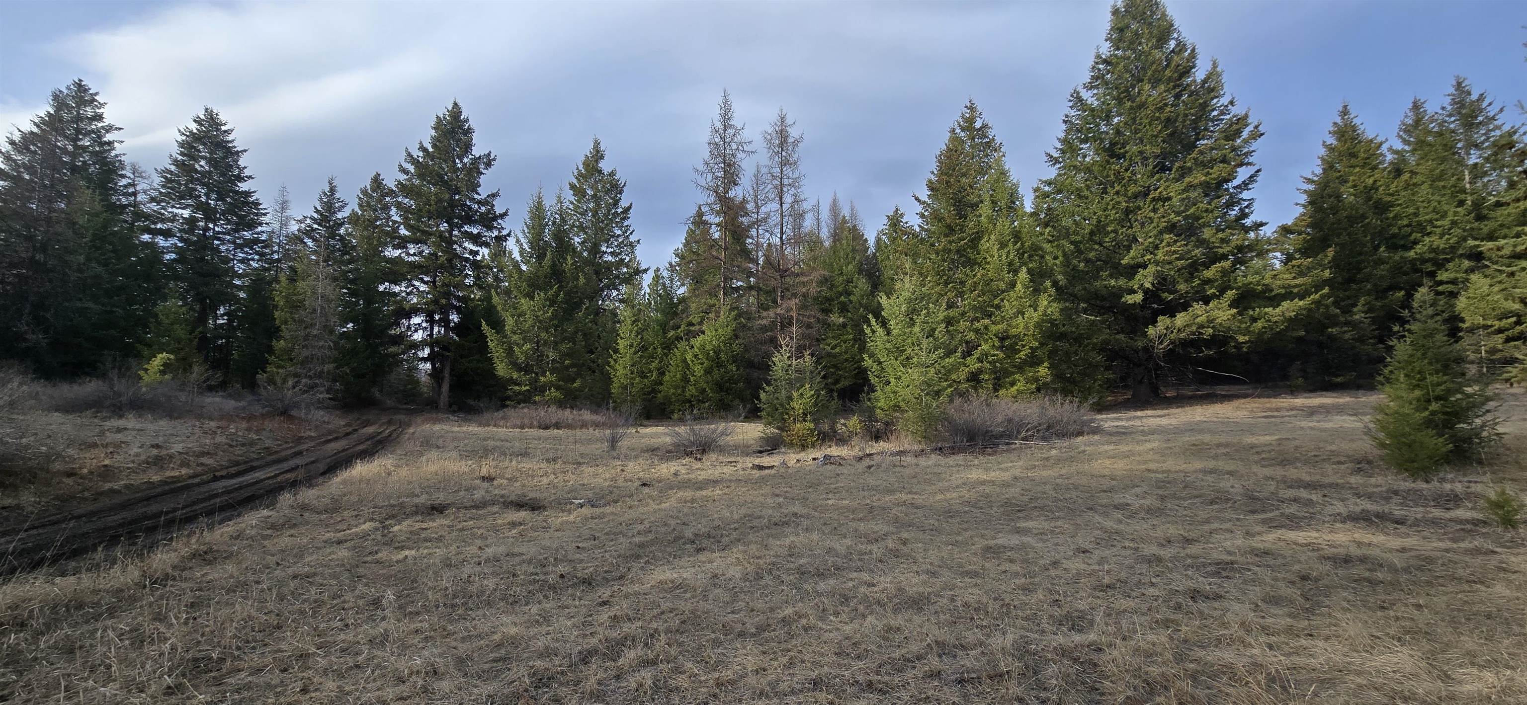 99 Prior Loop Road Oroville, WA 98844 - Photo 6 of 10