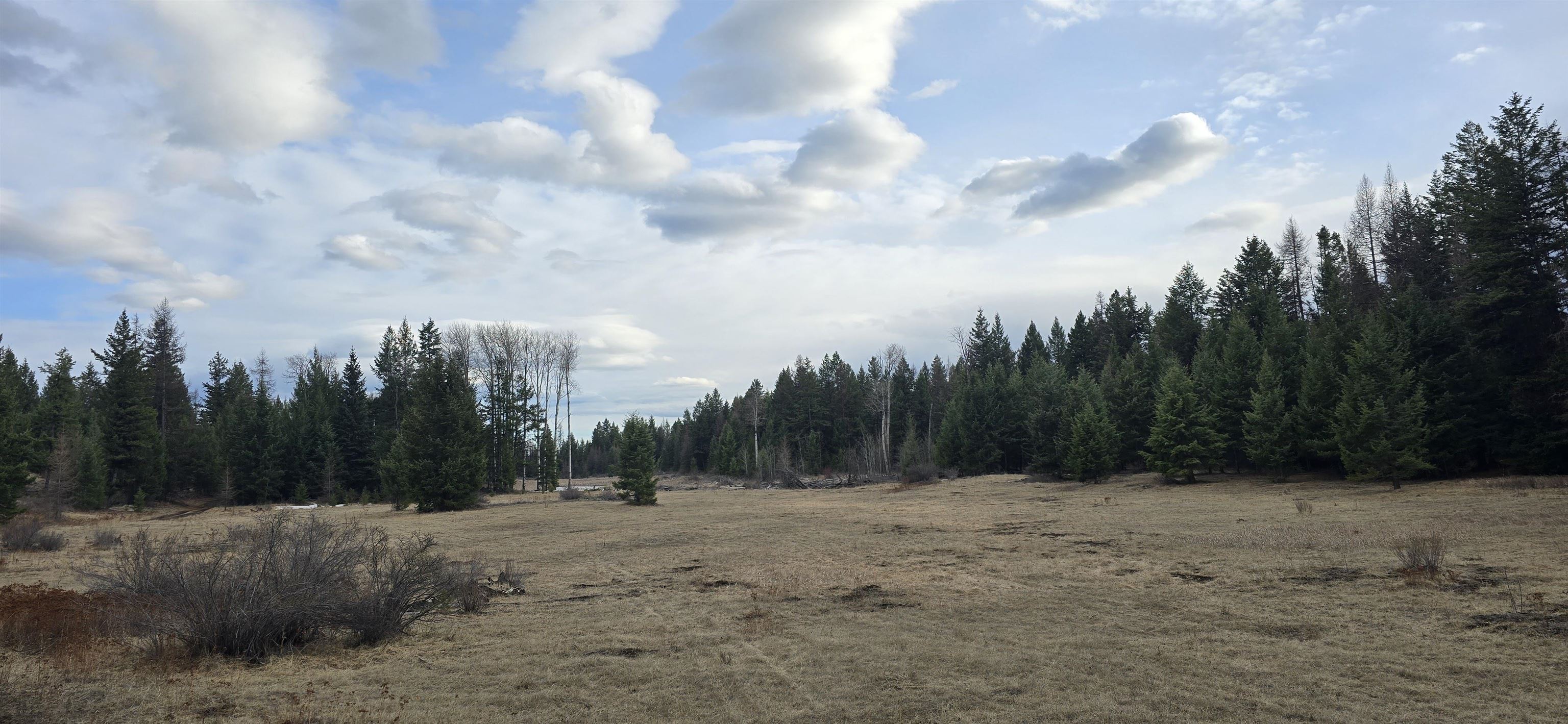 99 Prior Loop Road Oroville, WA 98844 - Photo 7 of 10
