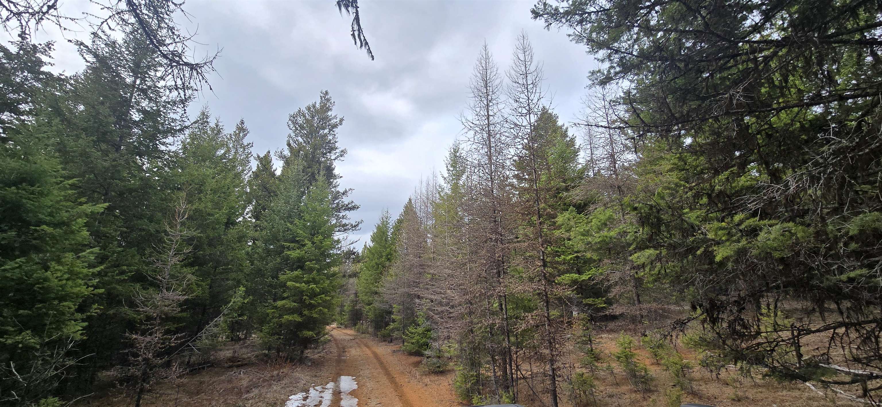 99 Prior Loop Road Oroville, WA 98844 - Photo 8 of 10