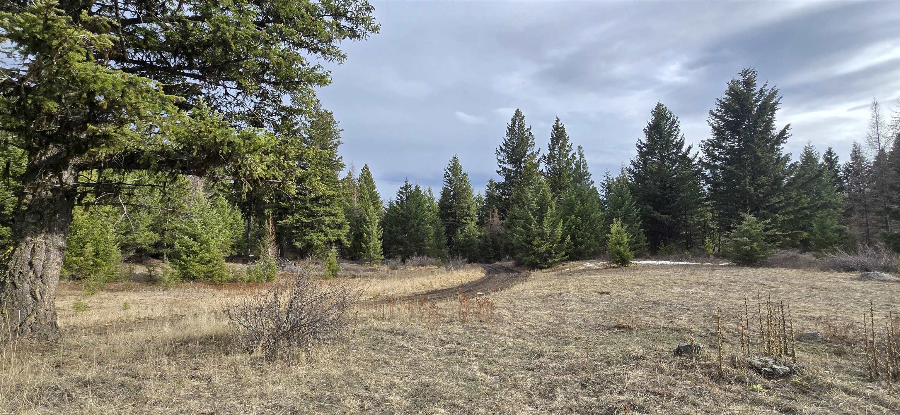 99 Prior Loop Road Oroville, WA 98844 - Photo 9 of 10