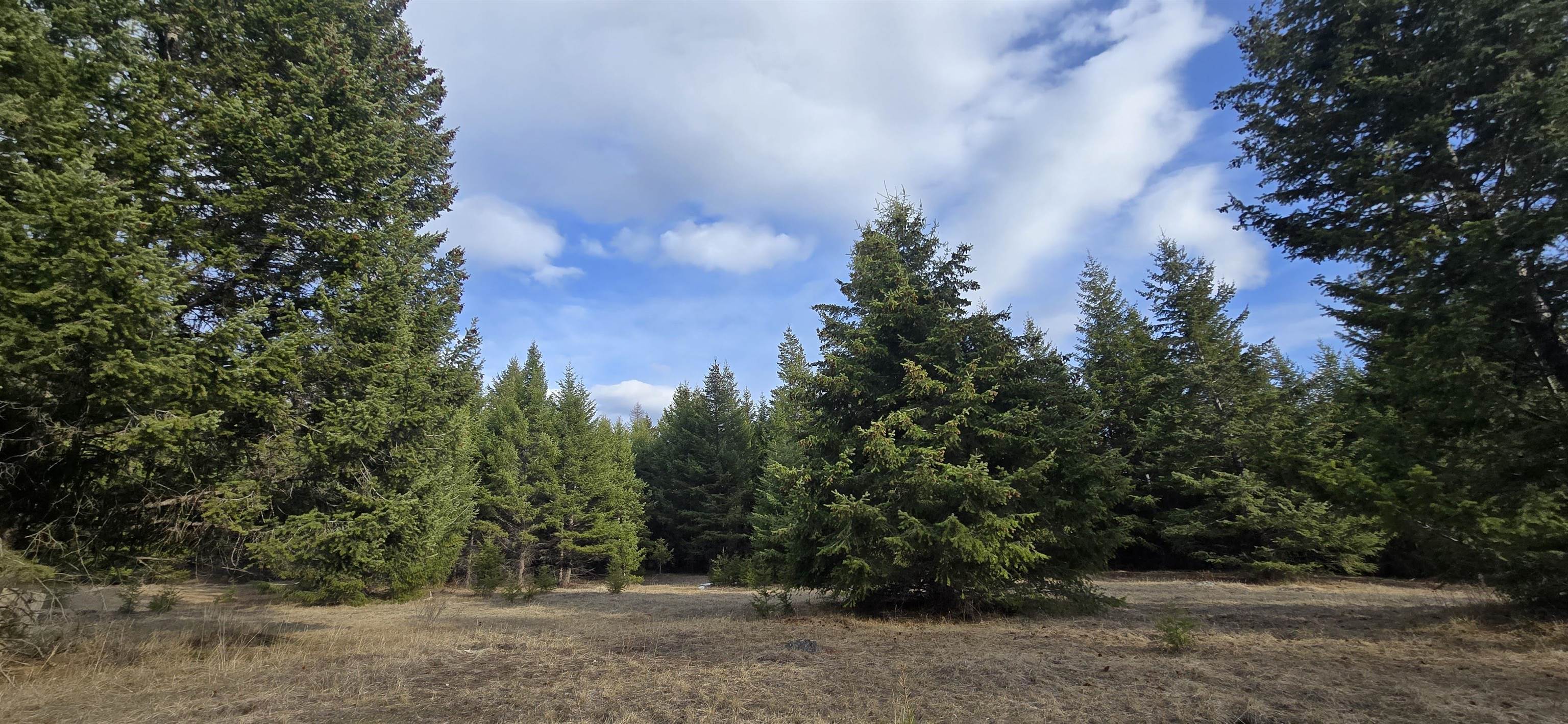 99 Prior Loop Road Oroville, WA 98844 - Photo 10 of 10