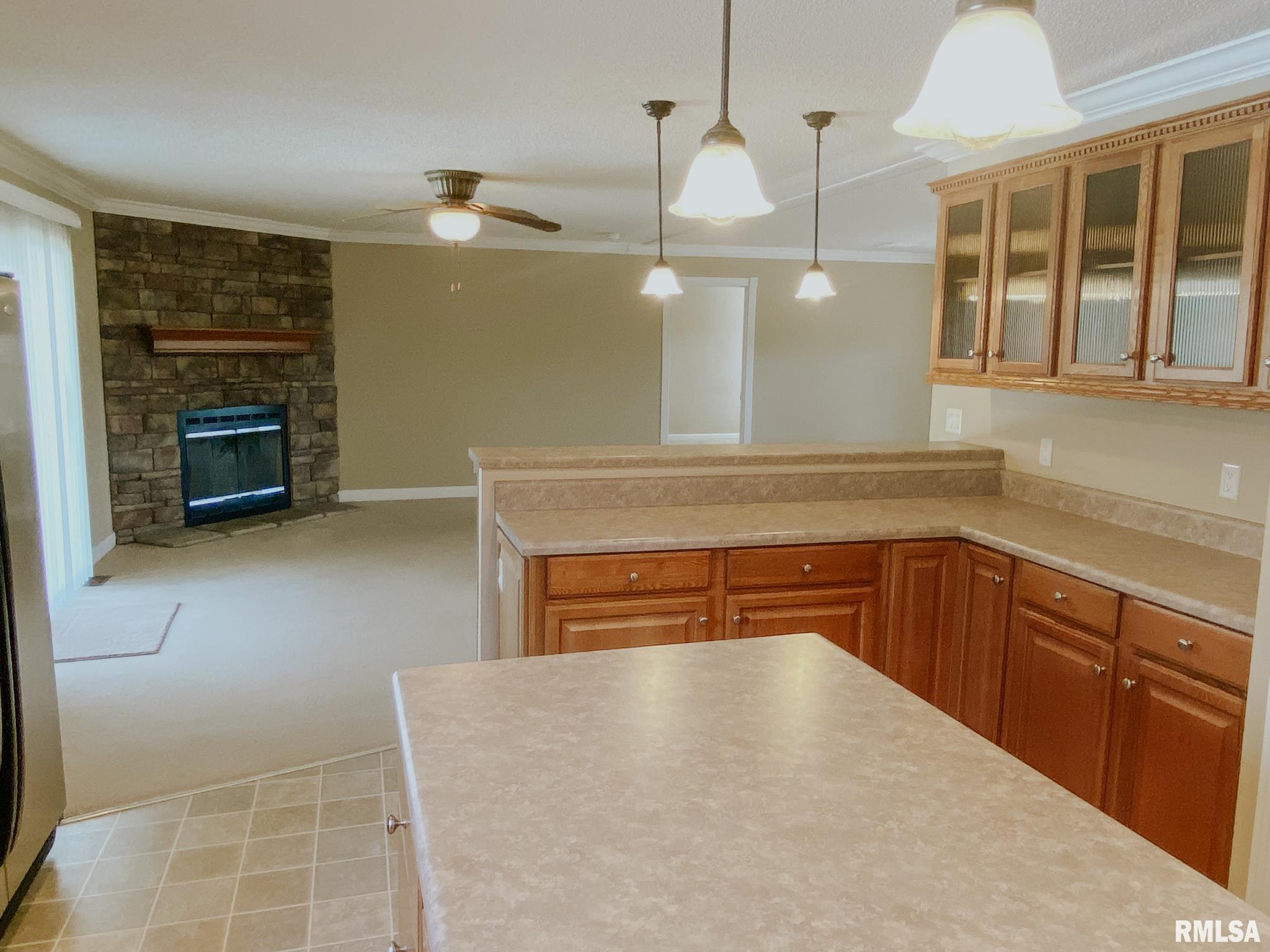 275 Vines Road Cobden, IL 62920 - Photo 14 of 46 Gallery Image 14
