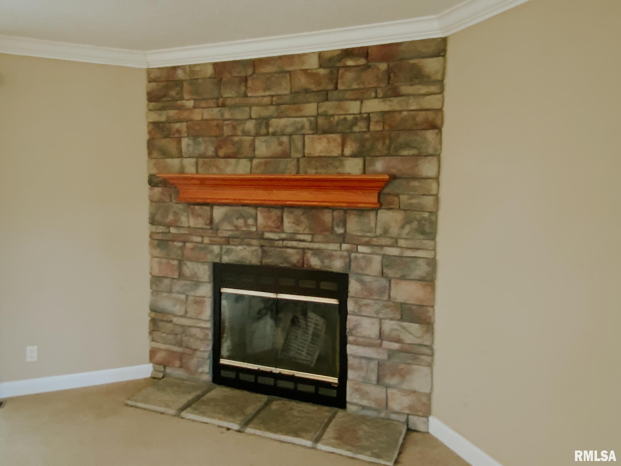 275 Vines Road Cobden, IL 62920 - Photo 20 of 46 Gallery Image 20