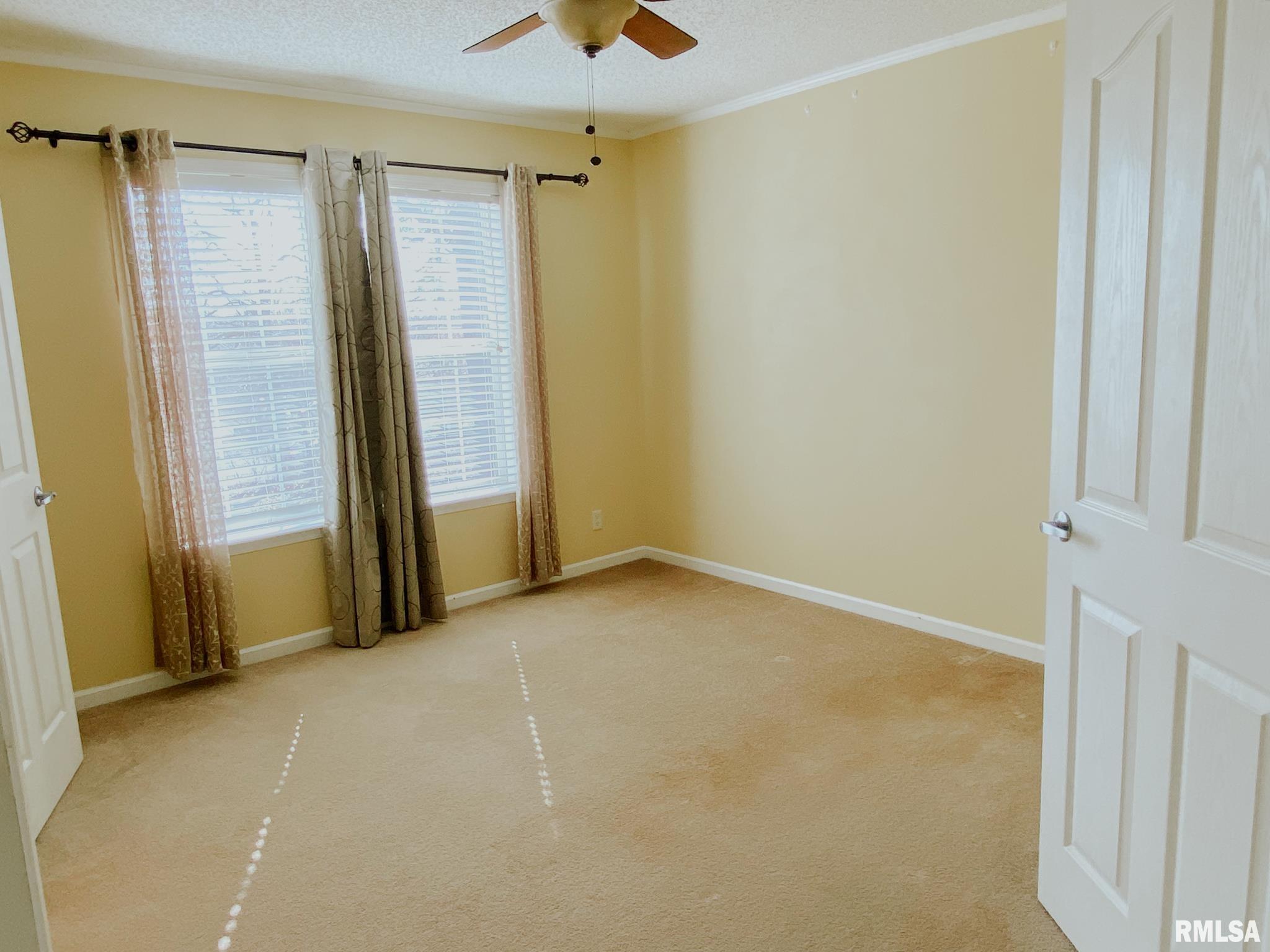 275 Vines Road Cobden, IL 62920 - Photo 28 of 46 Gallery Image 28