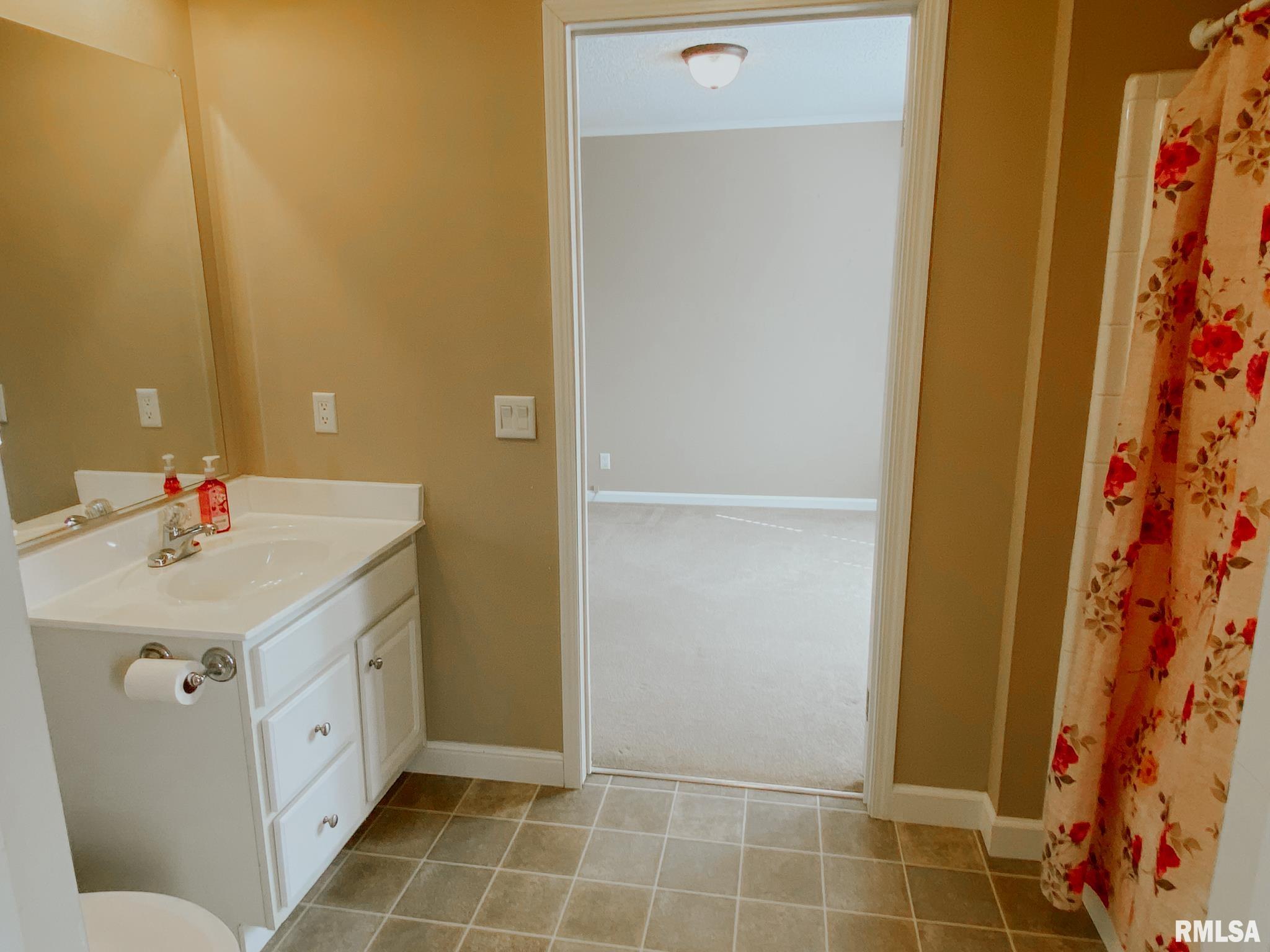 275 Vines Road Cobden, IL 62920 - Photo 31 of 46 Gallery Image 31