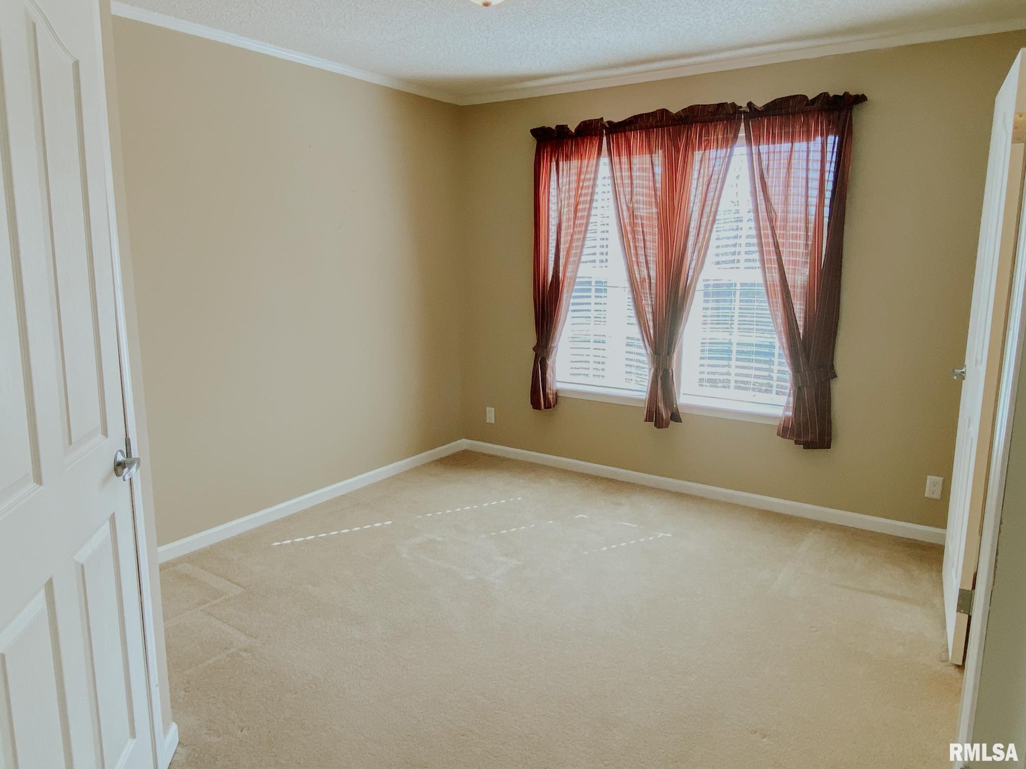 275 Vines Road Cobden, IL 62920 - Photo 32 of 46 Gallery Image 32