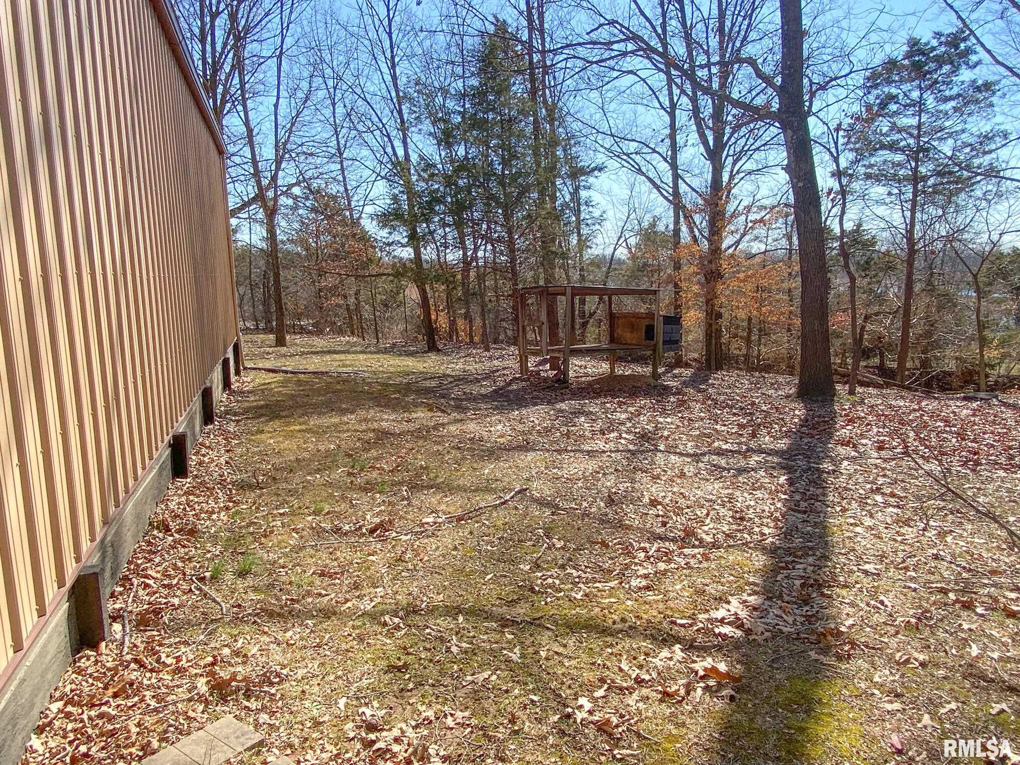 275 Vines Road Cobden, IL 62920 - Photo 41 of 46 Gallery Image 41