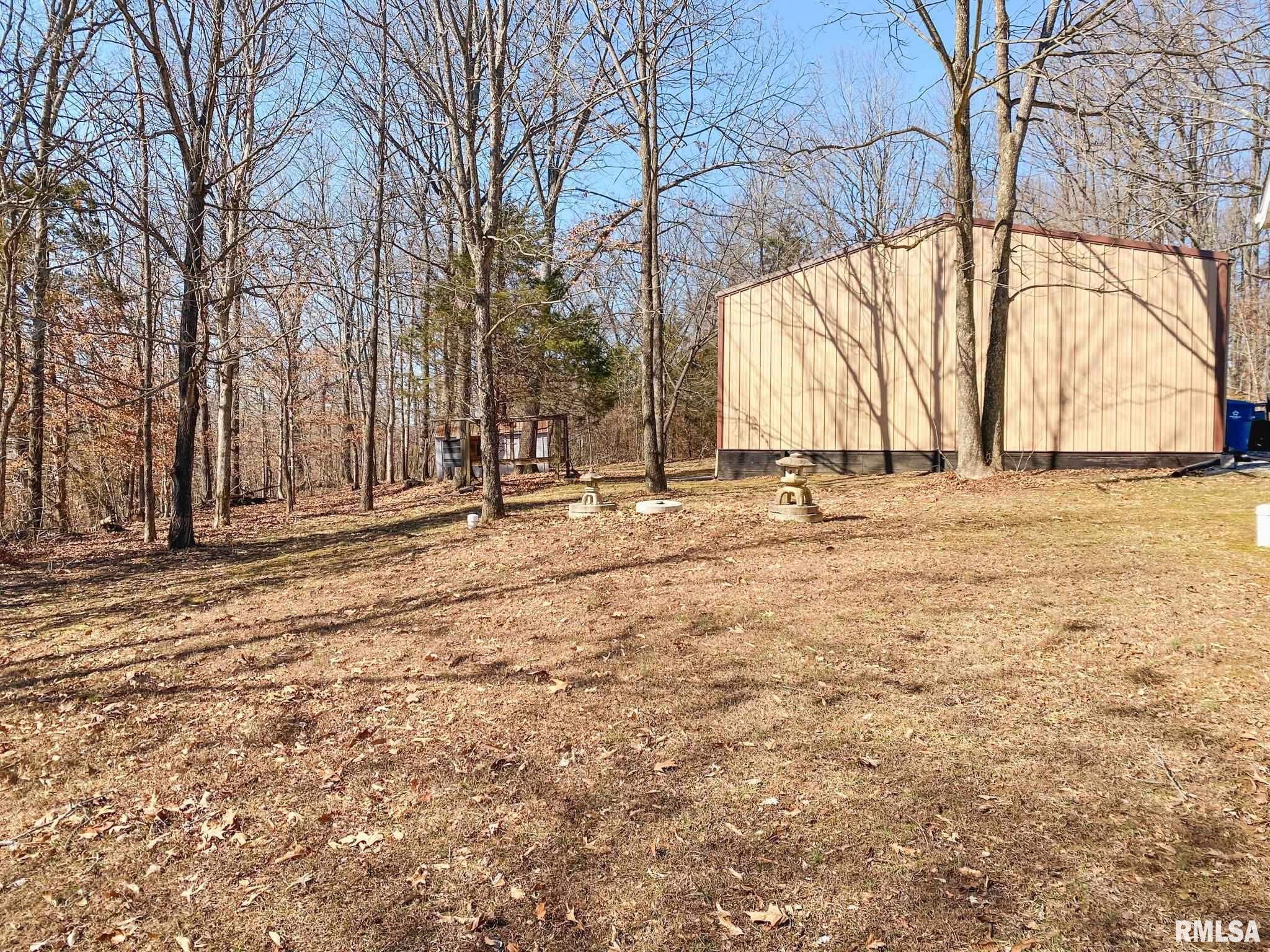 275 Vines Road Cobden, IL 62920 - Photo 42 of 46 Gallery Image 42