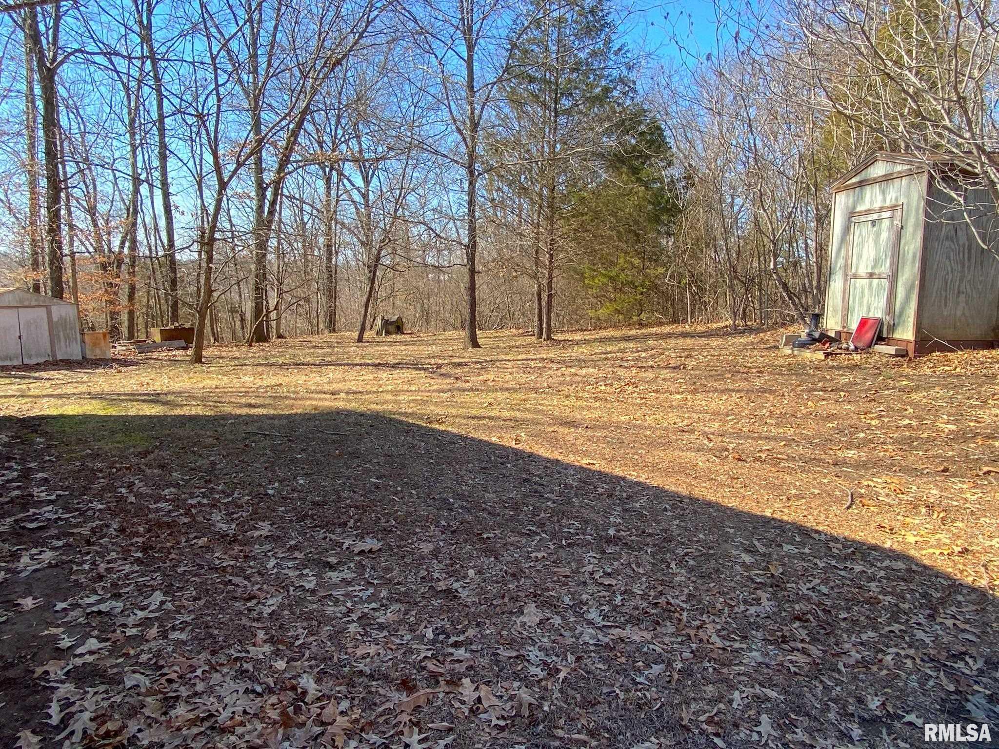 275 Vines Road Cobden, IL 62920 - Photo 44 of 46 Gallery Image 44