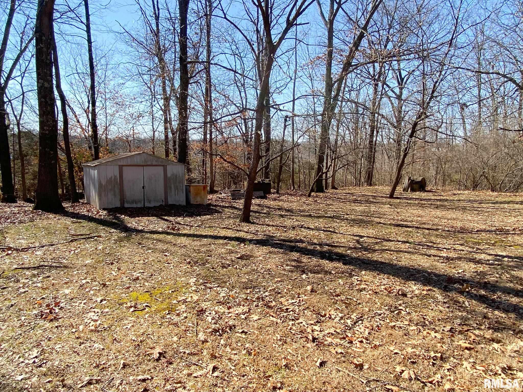 275 Vines Road Cobden, IL 62920 - Photo 46 of 46 Gallery Image 46