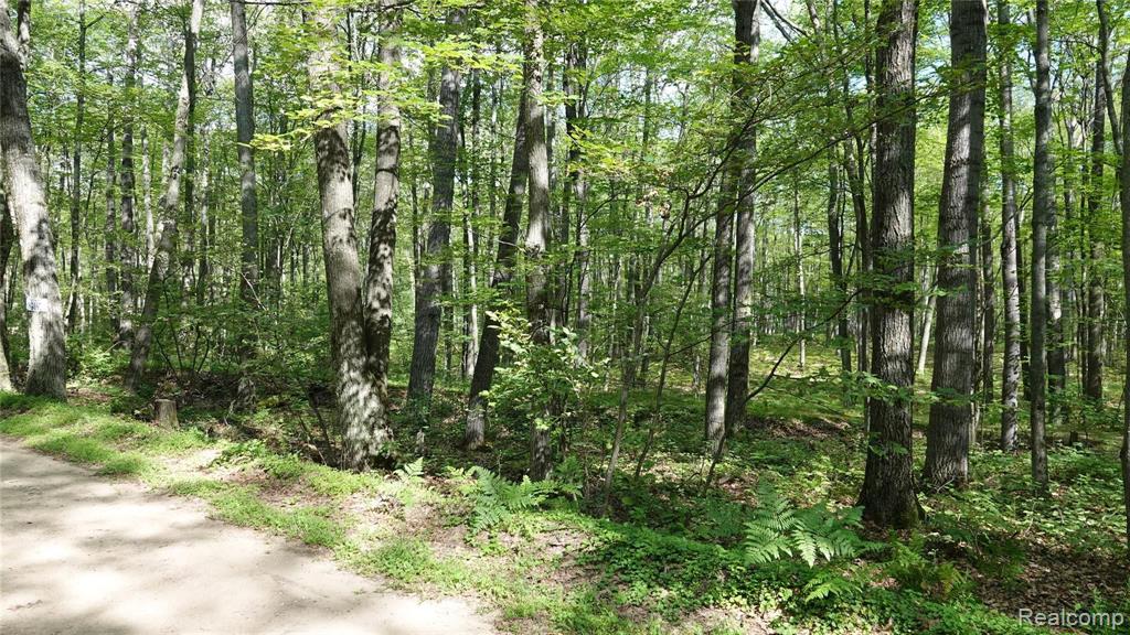 0 Dyer Road Rose City, MI 48654 - Photo 6 of 8 Gallery Image 6