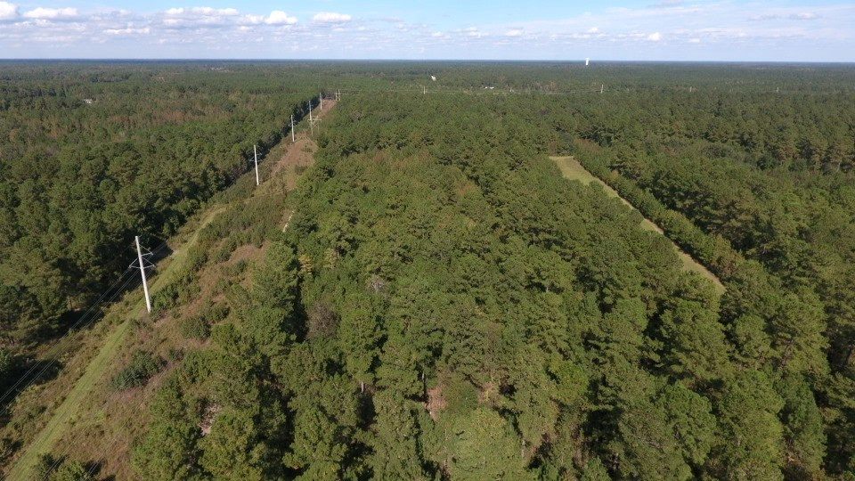 250 Edwin Road Lane, SC 29564 - Photo 24 of 27