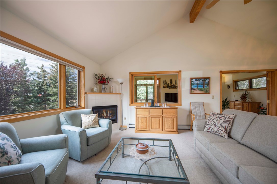 300 Riley Road Silverthorne, CO 80498 - Photo 4 of 34 Gallery Image 4