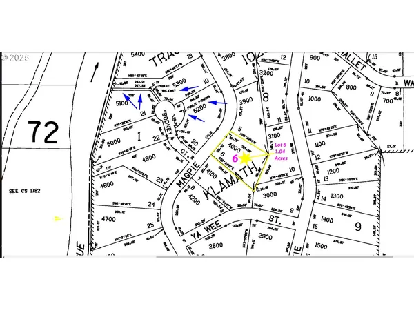 a black and white photo of a painting