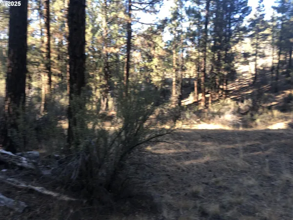 a view of mountain view with lots of trees
