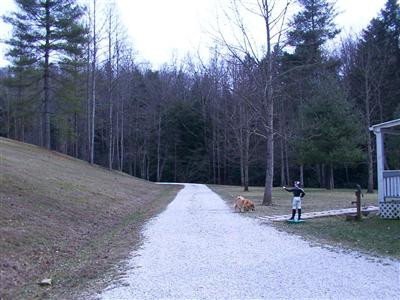 2021 Bear Branch Road Campton, KY 41301 - Photo 1 of 11 Photo 1