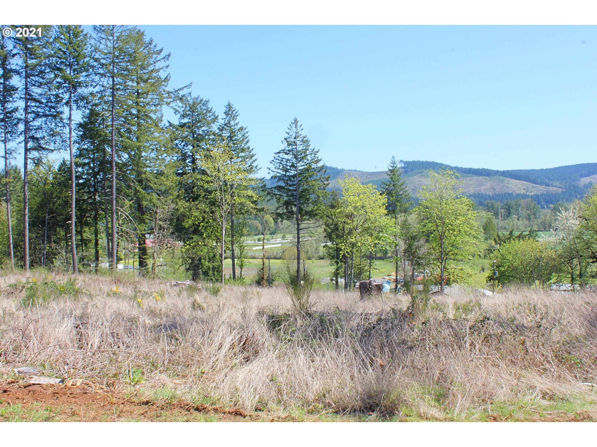 Donna Road Springfield, OR 97478 - Photo 12 of 21 Gallery Image 12