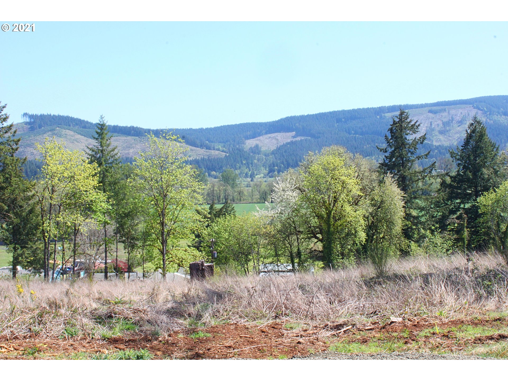Donna Road Springfield, OR 97478 - Photo 13 of 21 Gallery Image 13